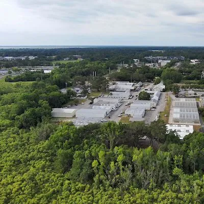 thumbnail for publication: Gainesville's Urban Forest Structure and Composition in 2006